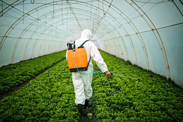 Best Mosquito Control Services  in Falls City, OR