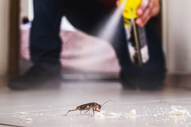Best Best Pest Control Companies  in Falls City, OR