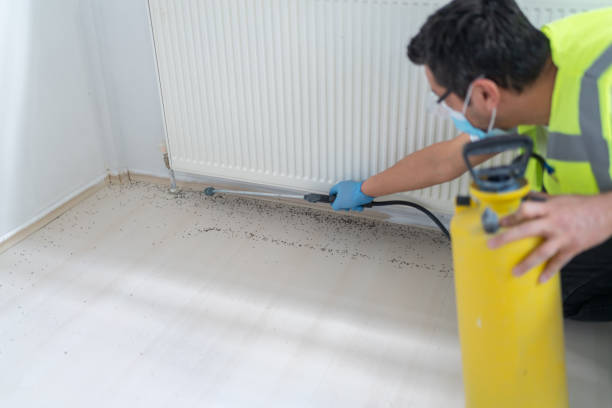 Best Bed Bug Extermination  in Falls City, OR