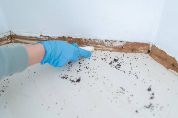  Falls City, OR Pest Control Pros