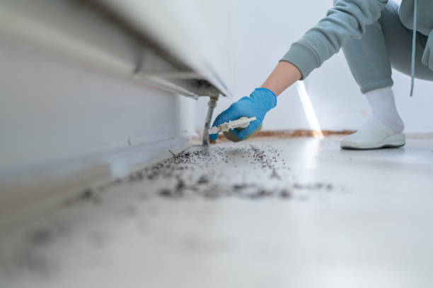 Best Pest Removal Services  in Falls City, OR