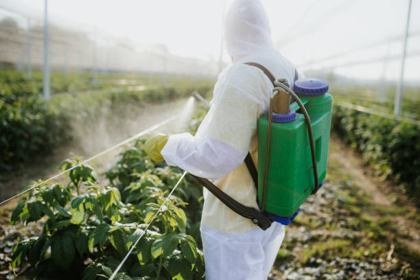 Best Wildlife Control Services  in Falls City, OR